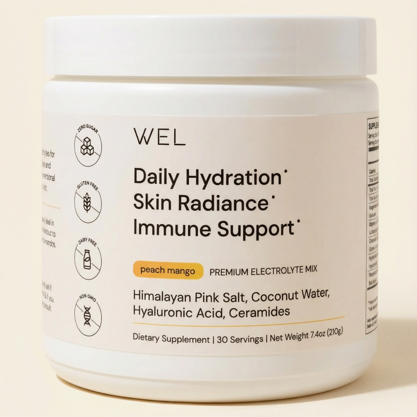 WEL Daily Hydration premium electrolyte mix container for skin and immune support